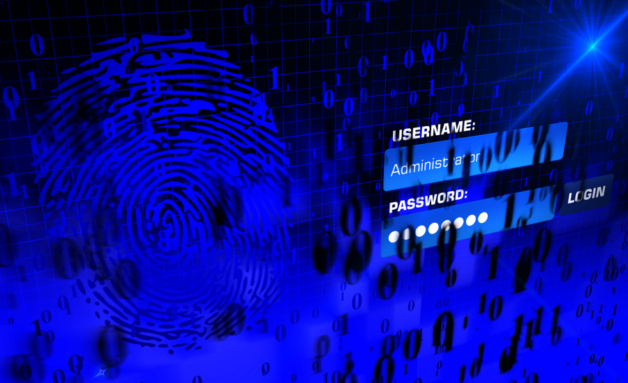 What Is the Most Secure Way to Share Passwords with Employees